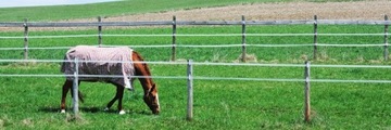 Zestaw bramowy Z GUMĄ do pastucha taśma dla koni UCHWYT ROZCIĄGLIWA 3m
