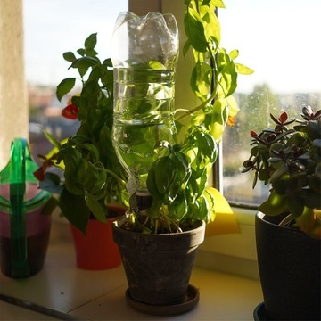 4x поилка для цветочных горшков PLANTS, диспенсер для лейки