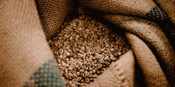 Набор свежего кофе от Nuno CRAFT ROASTERS 3x 200г