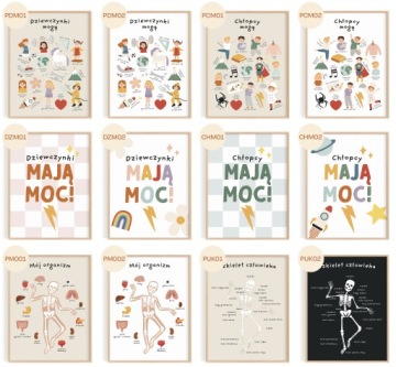 Плакат по образованию животных для детей 30x40