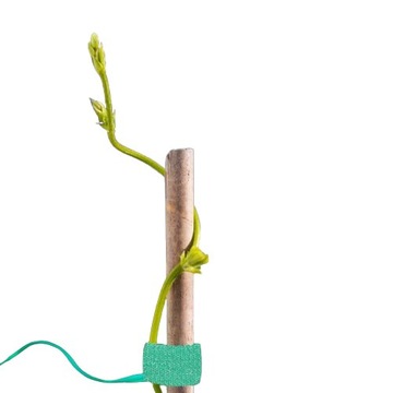 САДОВАЯ ЛЕНТА-ВЕЛКРО ДЛЯ КРЕПЛЕНИЯ РАСТЕНИЙ И ЦВЕТОВ 5М 4 ШТ.