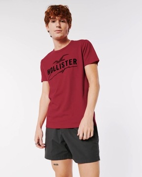 Koszulka męska HOLLISTER t-shirt Abercrombie USA M