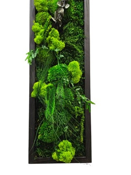 Панно из живого мха, джунгли, 3D стена из мха, нестандартный размер, выбор рамы 130 x 20 см.