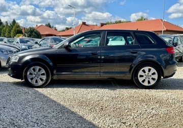 Audi A3 8P Hatchback 3d 1.6 102KM 2008 Audi A3 Sportback 1.6 MPI 102KM skory PDC cliamtronic tempoamt alu grzane, zdjęcie 7