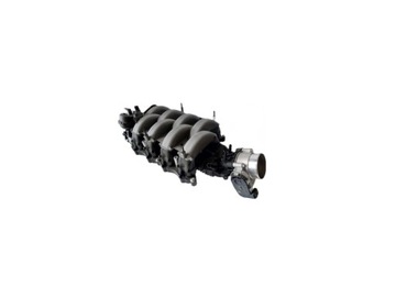 2018-21 Ford Mustang Kolektor Dolotowy 5.0L
