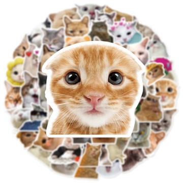 100 шт. забавный милый мем животное кошка котенок