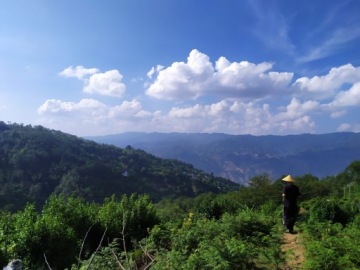 Чай Красный ПУЭР растворимый кристаллический, 3г