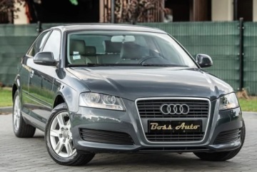 Audi A3 8P Hatchback 3d 1.6 TDI 105KM 2010 Audi A3 3-drzwiowe 1.6TDI 105KM DsG Skora Climatron Alu Po Serwisie Gwaran