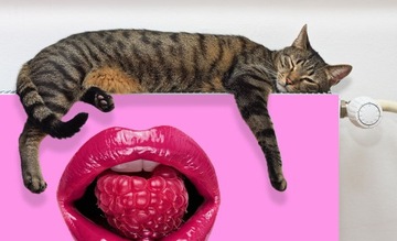 МАГНИТ МАГНИТНЫЙ КОВрик ДЛЯ РАДИАТОРА 100х60 РОТ