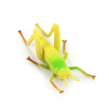 12 разных насекомых летающих червей Животное