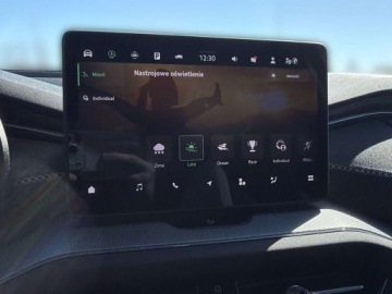 Skoda Kodiaq I SUV Facelifting 2.0 TDI SCR 150KM 2024 Skoda Kodiaq Sportline 7 osobowy Top LED Matrix Pamiec foteli Masaze Faktu, zdjęcie 30