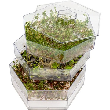 Многоуровневый ящик для проращивания Nice Herb Set