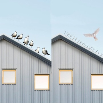 10x 50 см металлических шипов для голубей для птиц, плотных против нержавеющих птиц