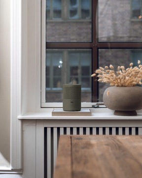 Поглотитель влаги, осушитель для ванной комнаты, для дома, зеленый, 600 г