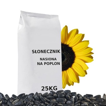 SŁONECZNIK CZARNY ziarno nasiona na Przedplon i Poplon 25 kg