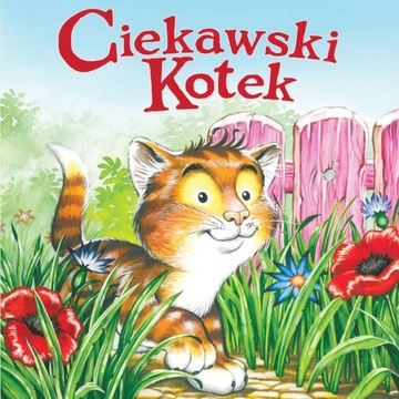 Książka Ciekawski kotek Maciej Mazur