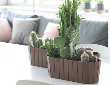 Чемодан Boardee 60см DDEC600 белый PROSPERPL