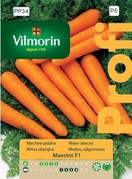 Marchew Maestro F1 2g vilmorin Odporna