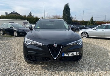 Alfa Romeo Stelvio SUV 2.0 Turbo 280KM 2018 Alfa Romeo Stelvio Alfa Romeo Stelvio, zdjęcie 7