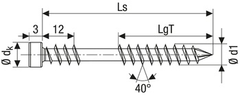 SPAX 5x60 террасный шуруп НАБОР из 850 штук старое золото