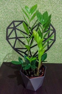 ЦВЕТОК ПОДДЕРЖКА РАСТЕНИЕ ЛЕСТНИЦА БЕСЕДКА СЕРДЦЕ 22