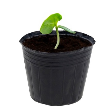 Р9 ПРОДУКЦИОННЫЕ ГОРШКИ 100 шт ДЛЯ ПОСЕВА ПОСЕВНЫХ КУЛЬТУР 9х7,5см + маркеры