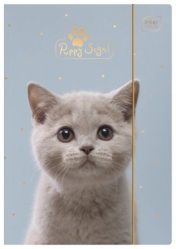 TECZKA Z GUMKĄ A4+ LUX UV PUPPY INTERDRUK