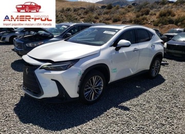 Lexus NX II 2022 Lexus NX 350H 2022 2.5l 2.5 Hybryda 240KM