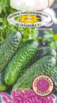 Nasiona otoczkowane Ogórek Alhambra 50n ST ROLTICO