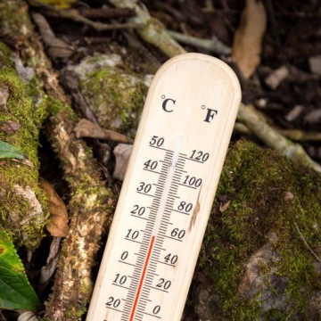 ДЕРЕВЯННЫЙ КОМНАТНЫЙ ТЕРМОМЕТР БОЛЬШОЙ 22 СМ ВНУТРИ/СНАРУЖИ