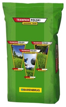 TRAWA ODPORNA NA SUSZĘ DYWANOWA TRAWNIK POLSKI DES
