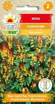MINA 0,2 g SUPER PNĄCZE NA PERGOLE I OGRODZENIA 'T