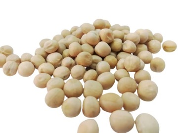 GROCH ŻÓŁTY - super zanęta przynęta na ryby - 1 kg