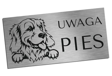 Tabliczka Uwaga Pies Golden Retriever 10x20cm inox