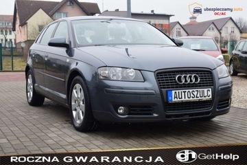 Audi A3 8P Hatchback 3d 2.0 TDI PD 140KM 2006