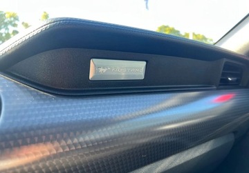 Ford Mustang VI Fastback Facelifting 5.0 Ti-VCT 450KM 2018 Ford Mustang GT 5.0 V8 450 KM 5.0 Benzyna 450KM, zdjęcie 26