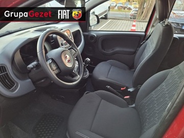 Fiat Panda III 2025 Fiat Panda Pandina Icon 1.0 70 KM 5-miejscowa, zdjęcie 12