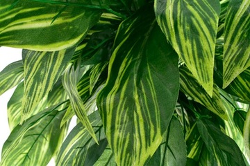 ИСКУССТВЕННОЕ ДЕРЕВО ЦВЕТОЧНЫЙ ГОРШОК ЦВЕТЫ ИСКУССТВЕННЫЕ ЛИСТЬЯ ГОСТИНАЯ КОМНАТА ДОМ ПОДАРОК