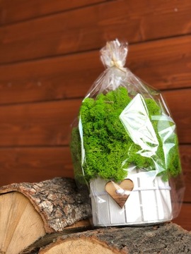 МОСС ХРОБОТЕК ДЕРЕВЯННЫЙ ОТДЕЛКА МОДНЫЙ ОТДЕЛКА ДЕРЕВО