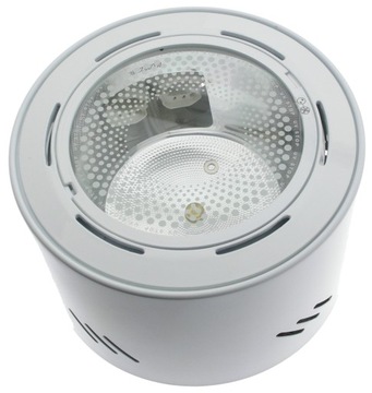 Brilum oprawa downlight sufitowa natynkowa 18W 2x18W G24d-2 biała