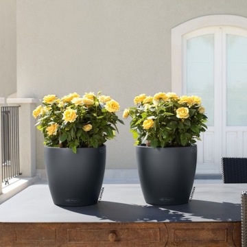 LECHUZA CLASSICO Color 35 самополивной вазон МЯСО