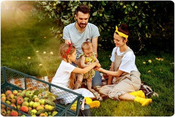 САДОВЫЙ ТРАНСПОРТНЫЙ ПРИЦЕП Тачка Barrow 3в1 до 500КГ