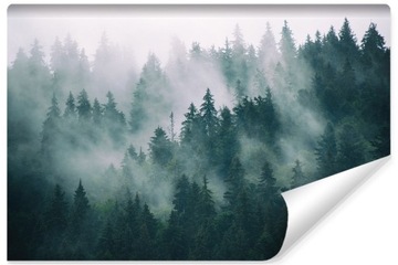 Fototapeta DRZEWA We Mgle Krajobraz 3D NA WYMIAR