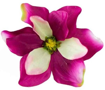 Magnolia DUŻA główka satyna KWIAT Fuchsia/Cream