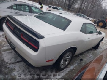 Dodge Challenger III 2023 Dodge Challenger SXT, 2023r., 3.6L 3.6 Benzyna 303KM, zdjęcie 3