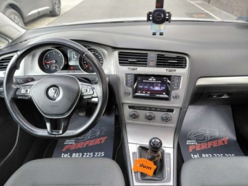 Volkswagen Golf VII Variant 1.6 TDI CR DPF BlueMotion Technology 105KM 2014 Volkswagen Golf Salon Polska Bezwypadek Klimatyzacja 2x PDC Alu 1.6 Diesel, zdjęcie 16