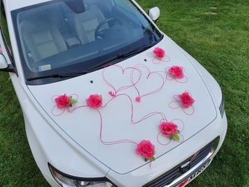 Живописное украшение автомобиля Украшение автомобиля ПЕРО