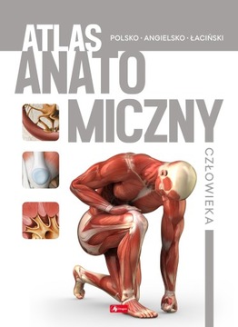 Atlas anatomiczny człowieka polsko - angielsko - łaciński - KD