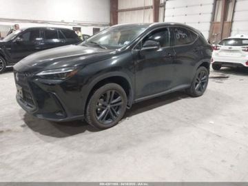 Lexus NX II 2022 Lexus NX 2022 LEXUS NX 450H LUXURY 2.5 Hybryda 181KM, zdjęcie 2