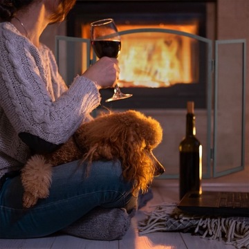 Экран с искроулавливающей решеткой для металлического камина